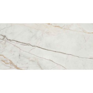 ΠΛΑΚΑΚΙ ELEPO GOLD 60X120