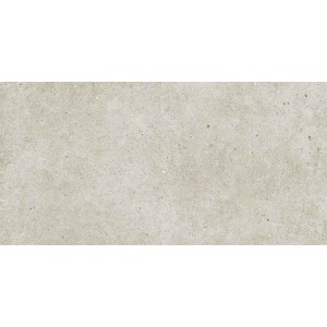 ΠΛΑΚΑΚΙ SOUL WHITE R10 60X120cm