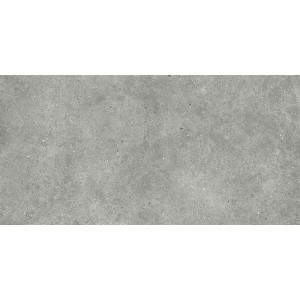 ΠΛΑΚΑΚΙ SOUL GREY R10  60X120cm