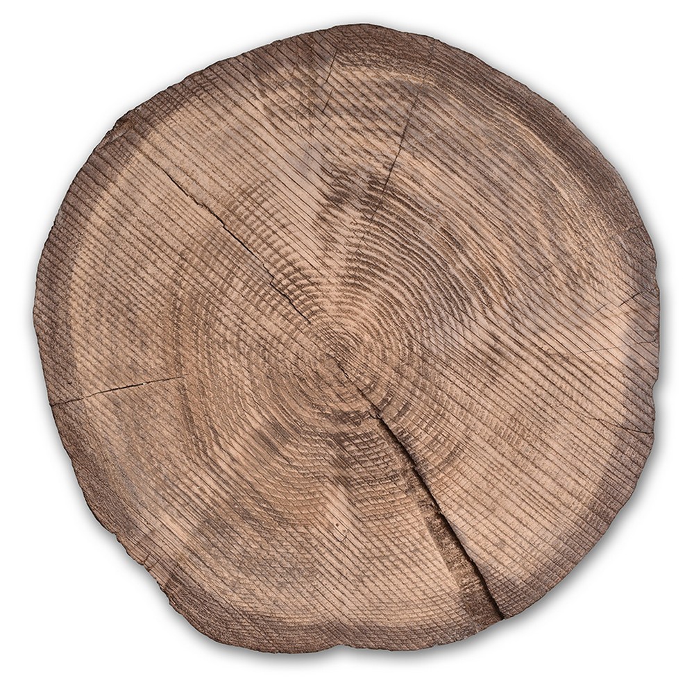 FOREST WHISPER ΠΕΤΡΑ ΜΕ ΟΨΗ ΞΥΛΟΥ Φ35